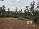 0 Chunchula Landfill Road - Photo 3