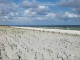 29040 Perdido Beach Boulevard - Photo 27