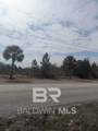 0 County Road 36 - Photo 7