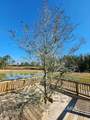 15660 Laurelbrooke Loop - Photo 44
