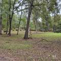 110 Cottonwood Drive - Photo 30