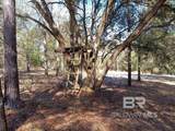 32799 Rustic Bend - Photo 12