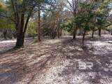 32799 Rustic Bend - Photo 15