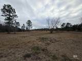 10585 Bellingrath Road - Photo 6