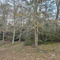 308 Rural Street - Photo 36