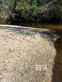 0 Wolf Log Road - Photo 3