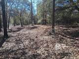 32799 Rustic Bend - Photo 15