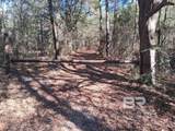 32799 Rustic Bend - Photo 30