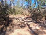 32799 Rustic Bend - Photo 31