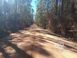 32799 Rustic Bend - Photo 32