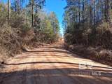 32799 Rustic Bend - Photo 33