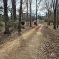 5238 County Road 6 - Photo 2