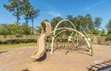 31593 Kestrel Loop - Photo 45
