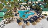 13555 Perdido Key Drive - Photo 24