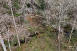 10736 County Road 83 - Photo 8