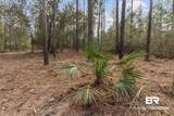 Lot #10 Bermuda Lane - Photo 4