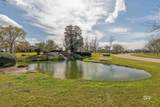 12774 Saddlebrook Circle - Photo 48