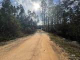 51235 Phillipsville Road - Photo 41