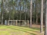 51235 Phillipsville Road - Photo 50