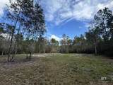 51235 Phillipsville Road - Photo 55