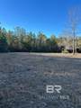 0 Buddy Lake Road - Photo 2