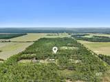 30247 Gardner Road - Photo 16
