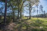 31952 County Road 64 Extension - Photo 1