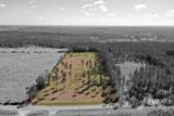 31952 County Road 64 Extension - Photo 12