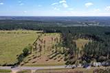 31952 County Road 64 Extension - Photo 13