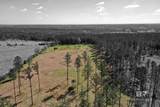 31952 County Road 64 Extension - Photo 14