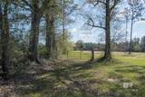 31952 County Road 64 Extension - Photo 2