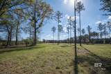 31952 County Road 64 Extension - Photo 3