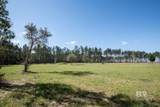31952 County Road 64 Extension - Photo 4