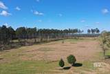 31952 County Road 64 Extension - Photo 6