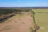 31952 County Road 64 Extension - Photo 8
