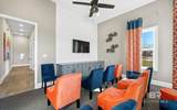 10996 Animal Kingdom Way - Photo 42