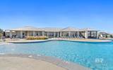 10996 Animal Kingdom Way - Photo 53
