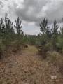 0 Phillipsville Road - Photo 4