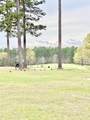 37 Juniper Creek Road - Photo 3