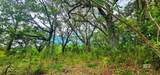 30701 Stanton Road - Photo 3