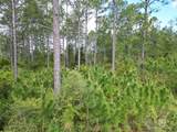 8200 BLK Grimes Road - Photo 7