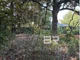 0 Batre Lane - Photo 5
