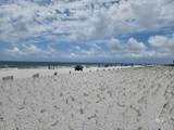 29040 Perdido Beach Boulevard - Photo 24
