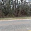 0 Alabama Highway 47 - Photo 2