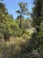 0 Shoalwater Drive - Photo 6