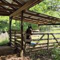 3055 County Road 43 - Photo 20