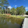 24711 County Road 20 - Photo 8