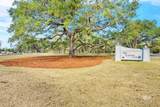17287 Pirate Circle - Photo 16