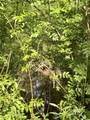 19160 County Road 68 - Photo 14