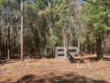 707 Daphmont Drive - Photo 13